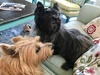 IMG_0712.jpeg