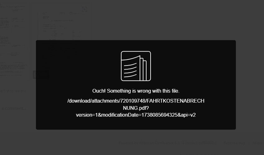 bug2025-01-28 184445.png