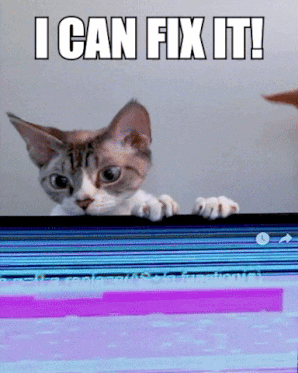 giphy.gif