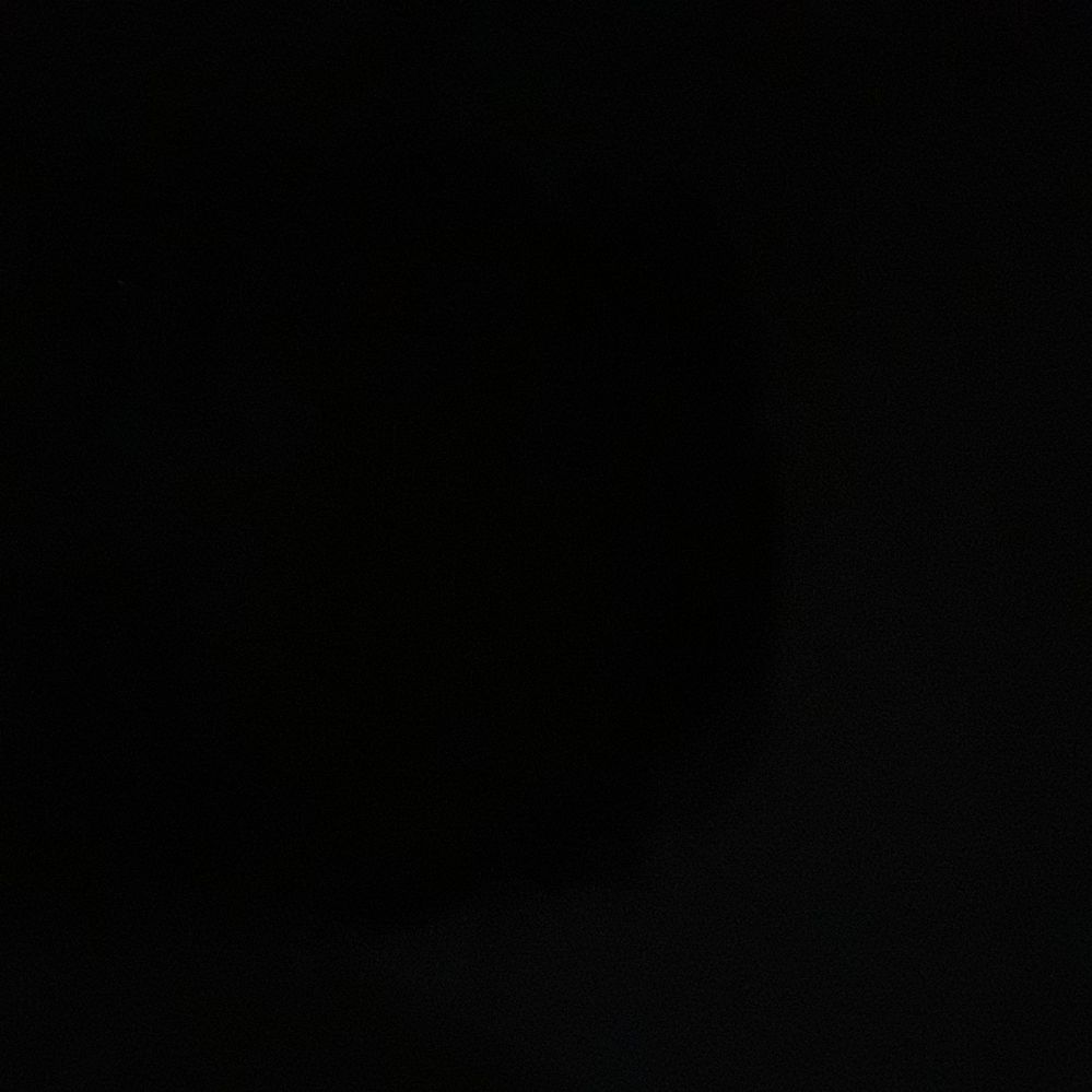 15417542860931447249563455891598.jpg