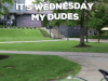 Wednesday.gif