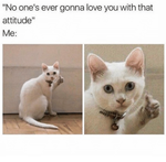 Screen Shot 2018-01-24 at 4.37.00 PM.png