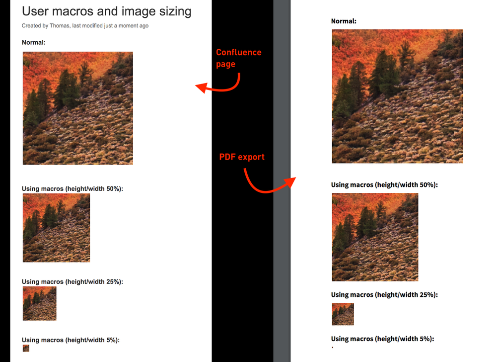 Screen Shot 2018-11-14 at 16.25.59.png