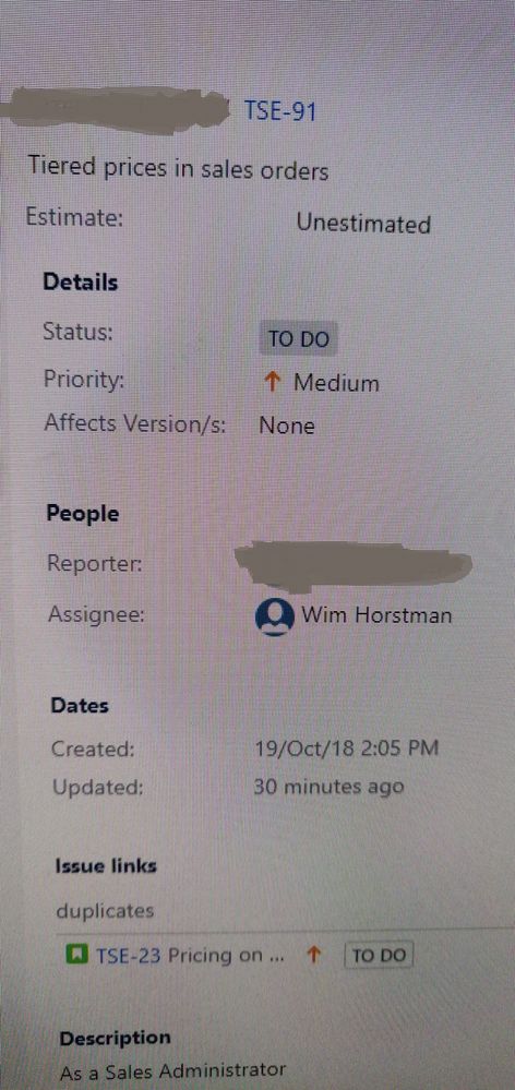 Example Issue link Jira.jpg
