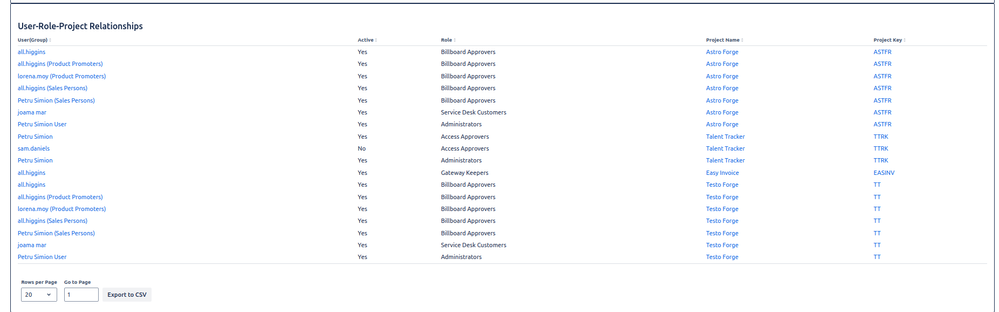 roles_dashboard_user_role_project_perspective.png