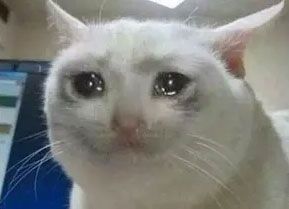 crying-cat-meme-template-thumbnail-4e806a85.jpg