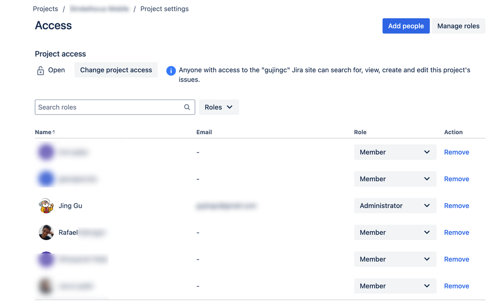 project setting access list-blurred.png