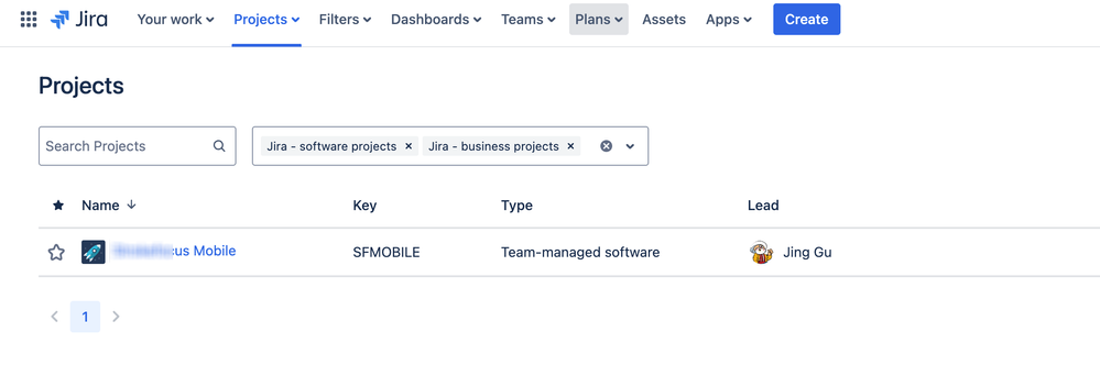 I can see the project.png