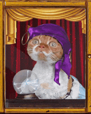 cat-devon-rex-fortune-teller-crystal-ball-gypsy-cute-future-mystical.gif