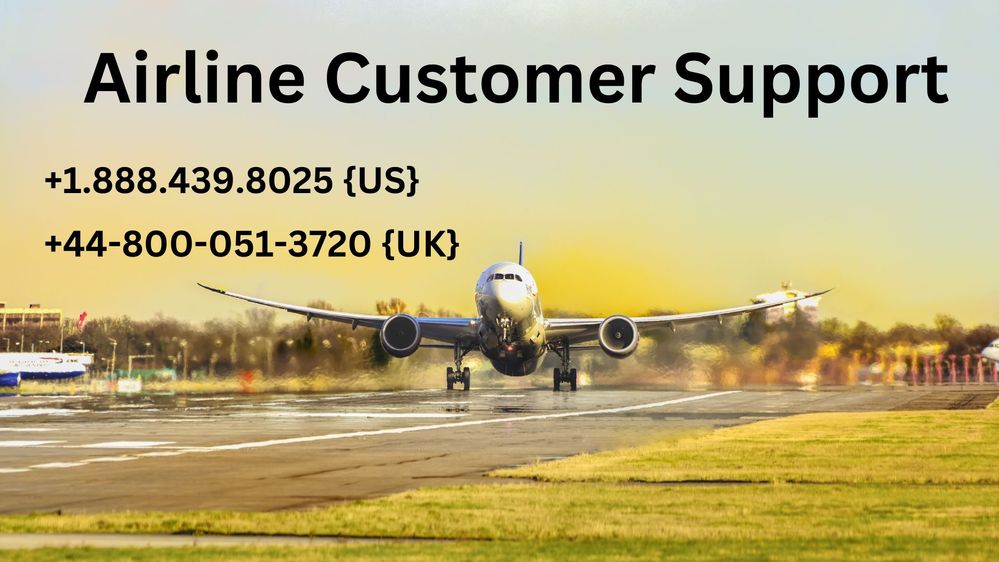 Airline Customer Support.jpg