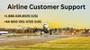Airline Customer Support.jpg