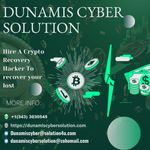 Public (Roslyn john)