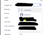 JIRA_Issue_2.png