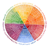 Emotional Wheel.png