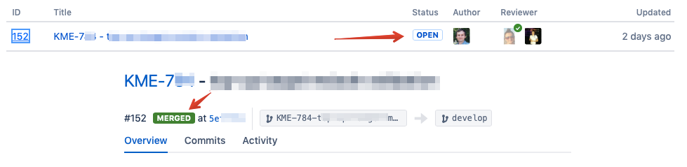 Pull request issue.png