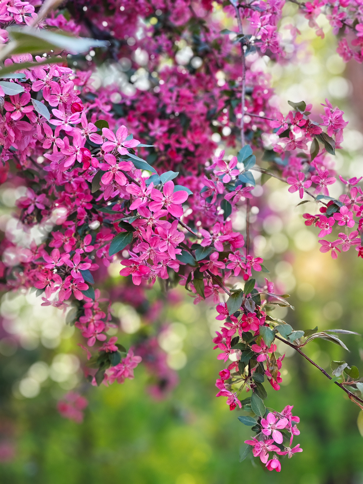 Frame 1991422500.png