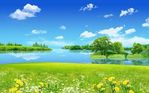 images (10).jpeg