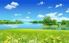 images (10).jpeg