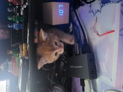 20250423_201332.jpg