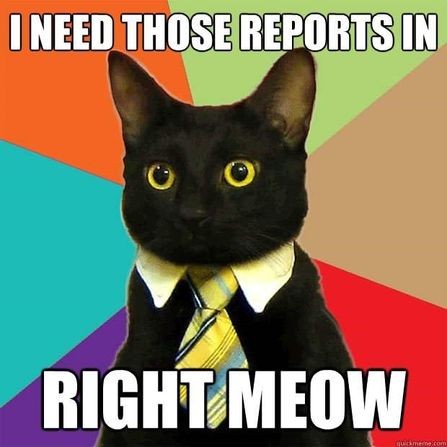cat-need-those-reports-right-meow-quickmemecom.jpg