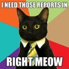 cat-need-those-reports-right-meow-quickmemecom.jpg