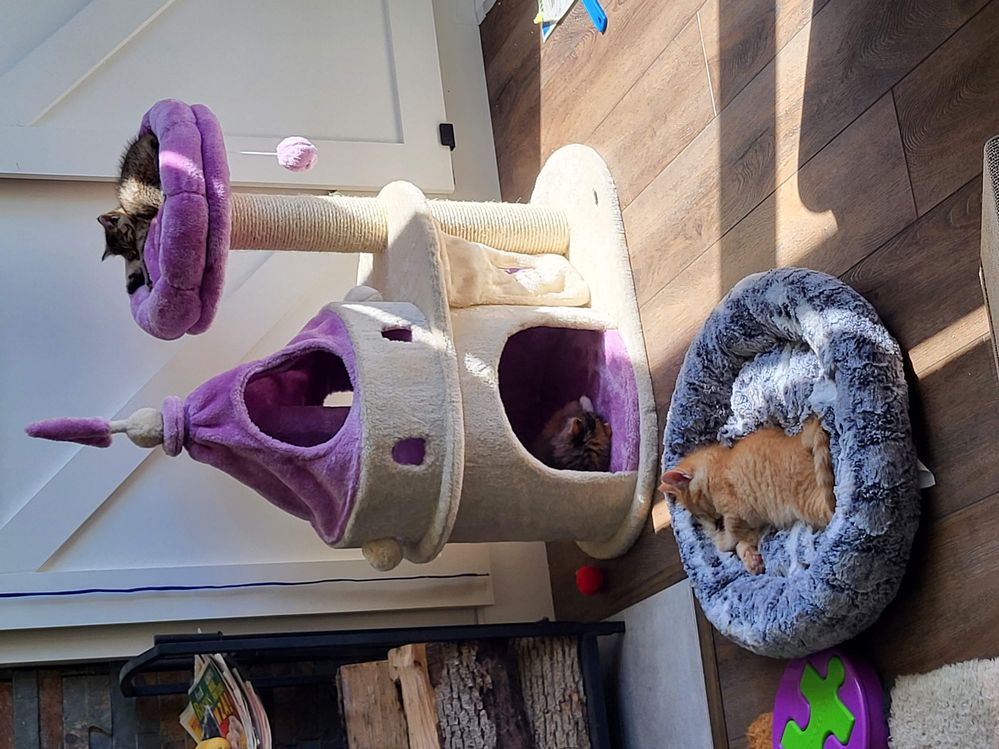 20250427_153213 (1).jpg