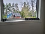 20250430_075333.jpg