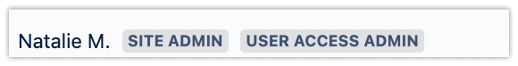 Users - team-1599157206716 - Atlassian Administration 2025-05-05 15-40-34.png