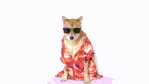 giphy