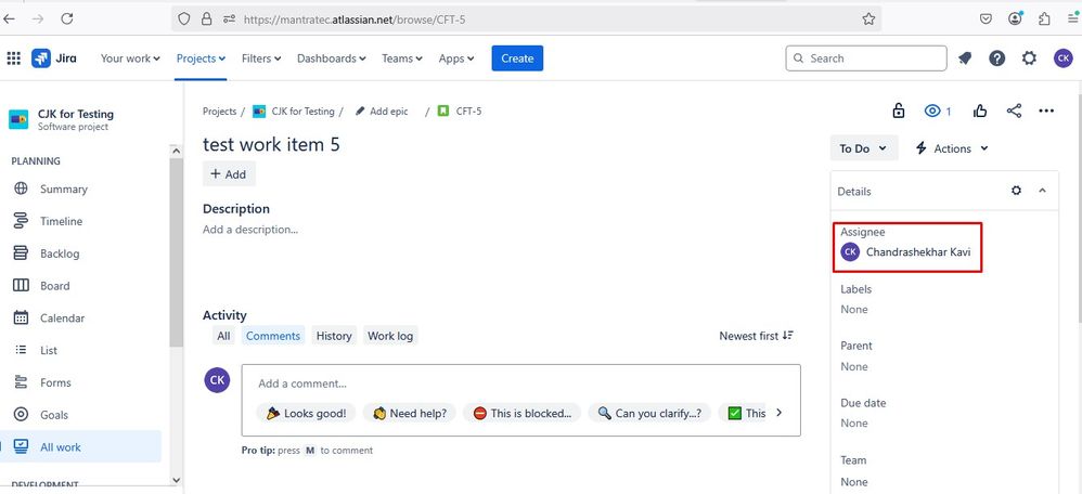 default assignee in work item.jpg
