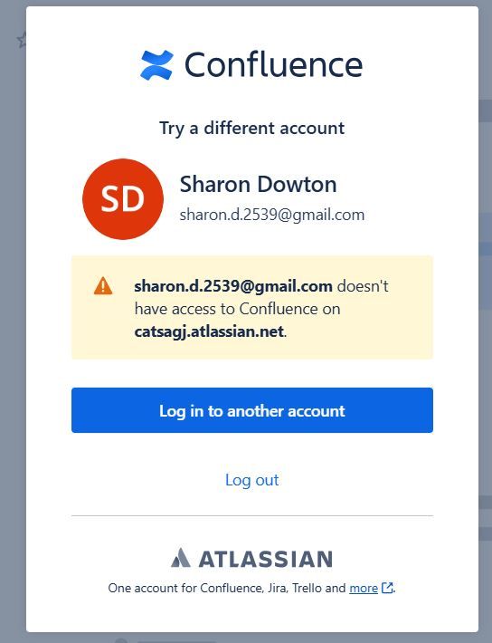 Confluence error.JPG