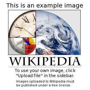 test.jpg