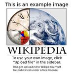 test.jpg