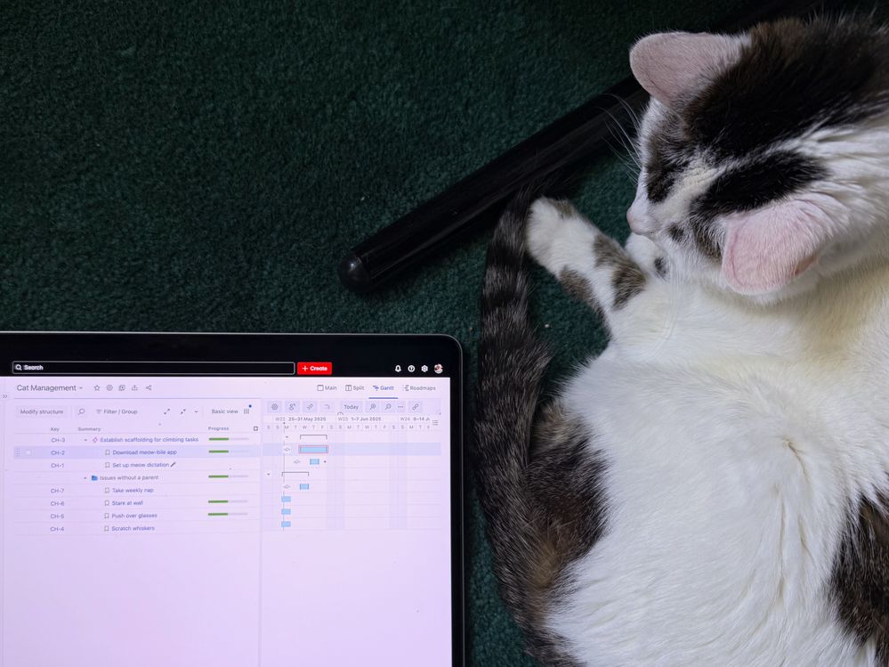 meow-planner.jpeg