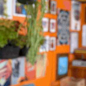 Surprise Omg GIF by NTE Grøntforsprang.gif