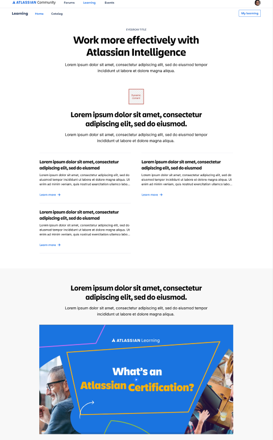 Screenshot 2025-05-08 at 1.24.28 PM.png