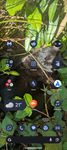 Screenshot_20250613-161839.png