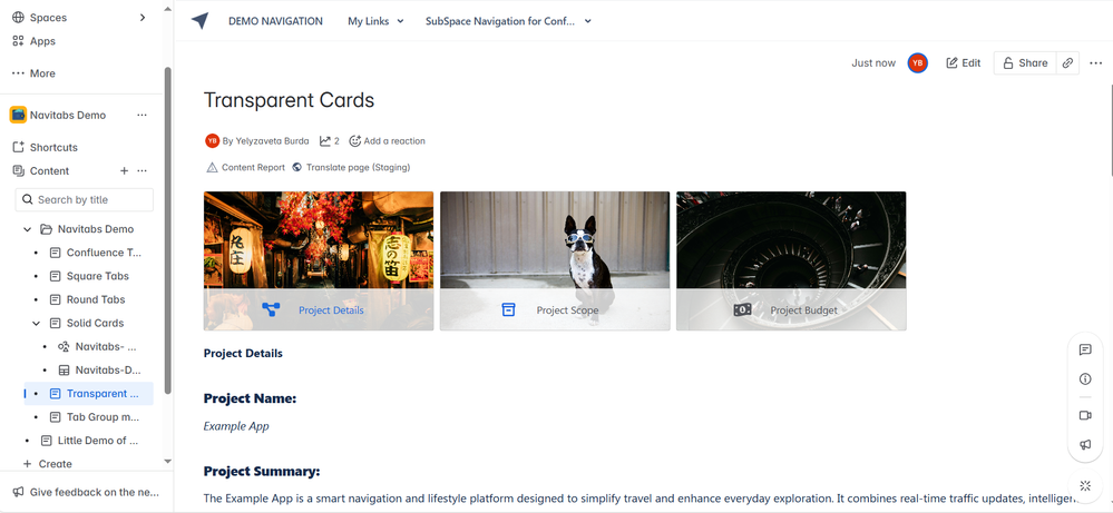 Transparent cards_new Navitabs.png