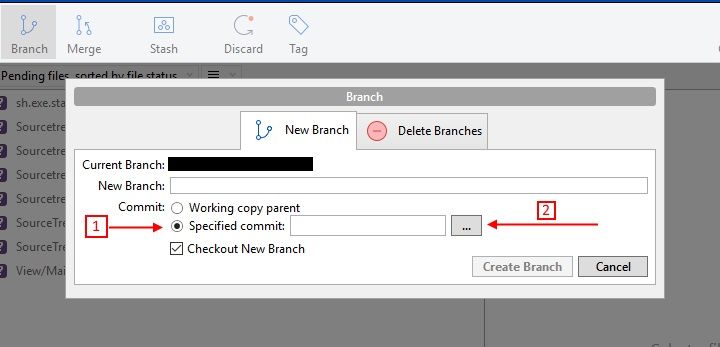 branch.jpg