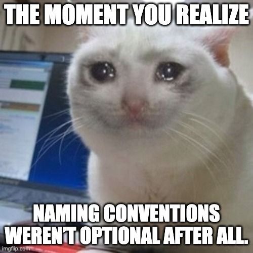 katze meme meme.jpeg
