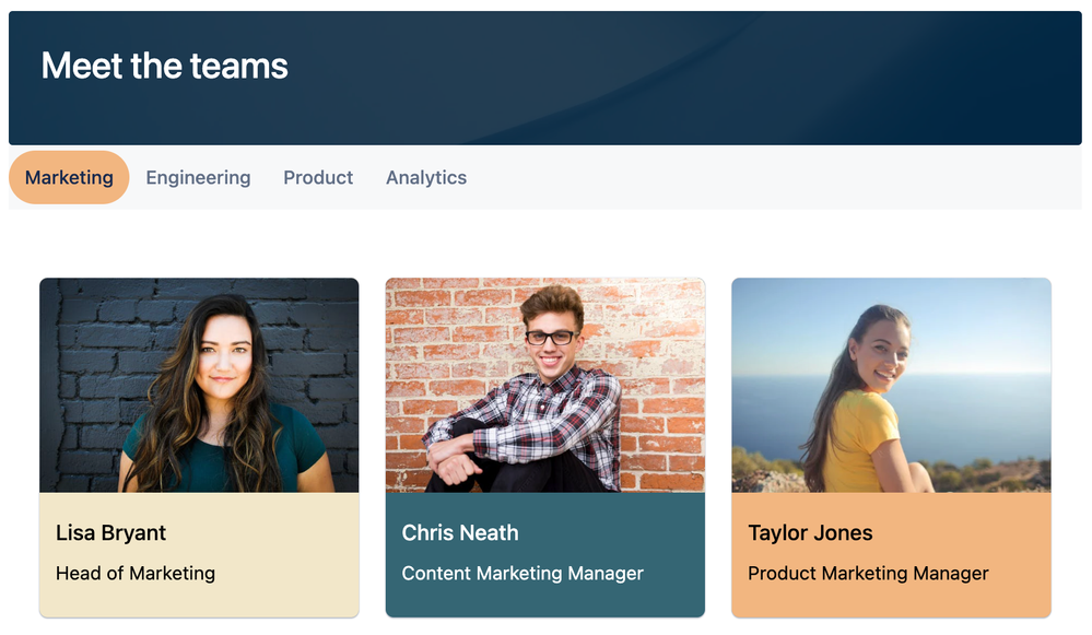 Meet the team Company hub.png