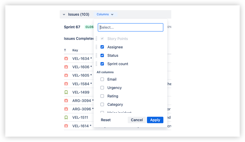 7. Issue list with configurable columns.png