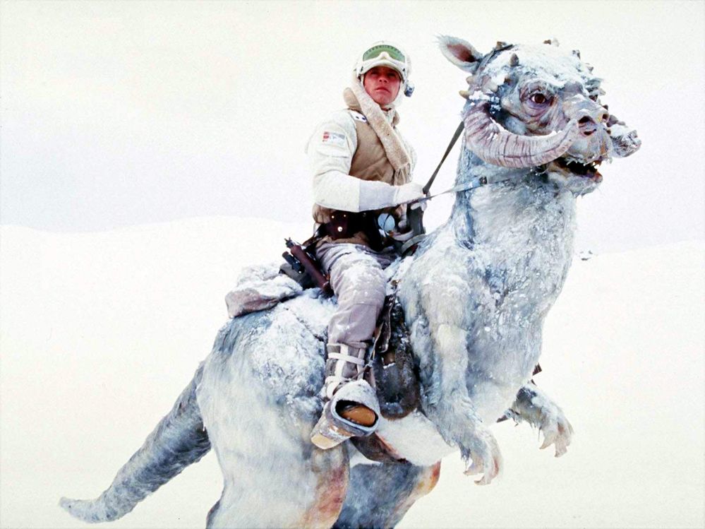 Tauntaun.jpg