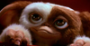 Gizmo.png