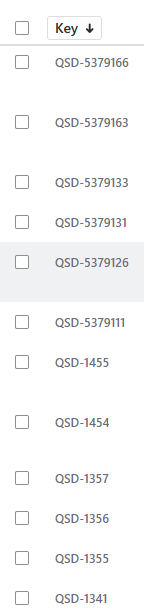 key_number_issue.png