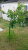 Screenshot 2025-07-14 at 1.44.20 PM.png