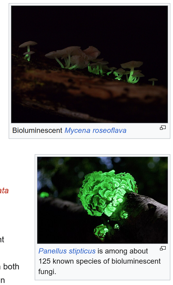 Screenshot 2025-07-15 222122.png