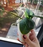 20181210_115001.jpg