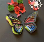 Rainbow butterfly.jpg