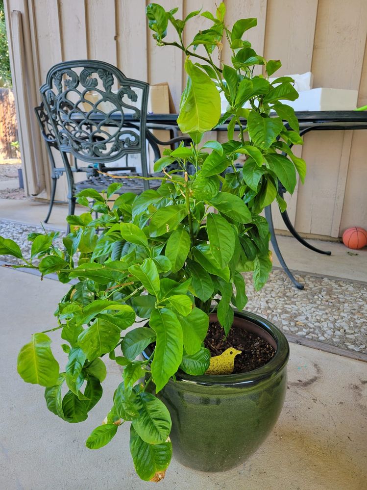 WhatsApp Image 2025-07-18 at 11.21.05 PM.jpeg